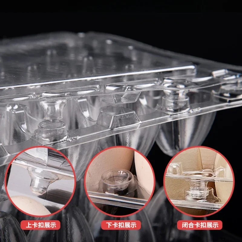กล่องใส่ไข่พลาสติกแบบใช้แล้วทิ - Event Party Box บทวิจารณ์และราคา